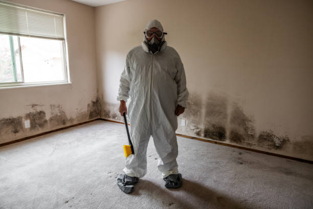 Best Residential Mold Remediation in Niagara University, NY
